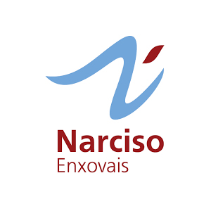 Narciso